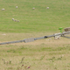 Illustration for article titled Underground Mapping Near Stonehenge Reveals a New "Super Henge"